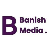 Banish Media - Edmonton Digital Marketing Agency image 3