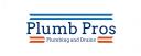 plumb pros plumbing and drains logo