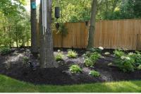 Kenny Kim Landscaping image 2