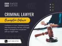 Saggi Law Firm image 74