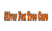 Silver Fox Tree Care image 6