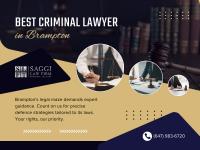 Saggi Law Firm image 76