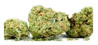 Canada Cannabis Dispensary image 1