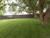 Landgraf Lawn Care image 5