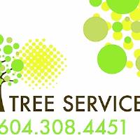 Jim's Tree Service image 1