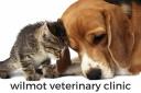 Wilmot Veterinary Clinic logo