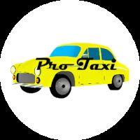 PRO TAXI image 1