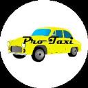 PRO TAXI logo