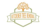 Kitchener Tree Removal image 1