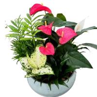 LaPier's Flowers & Gifts image 19