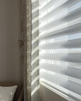 Shade It Blinds image 2