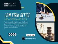 Saggi Law Firm image 87