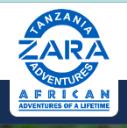 ZaraTours Inc logo