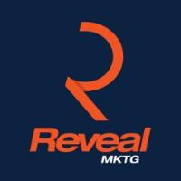 Reveal Marketing Group image 1