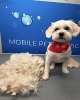 Mobile Pet Spa Inc. image 3