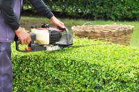 LawnCutting Plus image 7