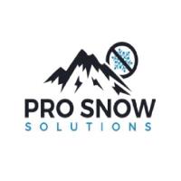 Pro Snow Solutions - Vancouver Snow Removal image 1