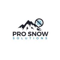 Pro Snow Solutions - Langley Snow Removal image 1