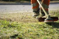 Grass Cutting Services Toronto image 2