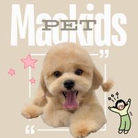 Maokids pet  image 4