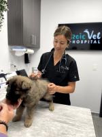 Petzoic Vet Hospital image 7