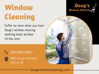 Doug's Window Washing image 3