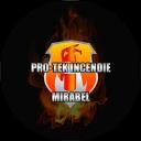 Pro-Tek Incendie logo