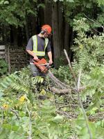 L.G. Forestry and Excavation image 3