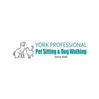 York Professional Pet Sitting & Dog Walking image 1