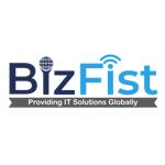 Bizfist IT Solution  image 1