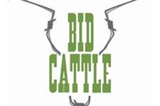 Bid Cattle Ltd image 1