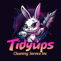 Tidyups Cleaning Service Inc image 5