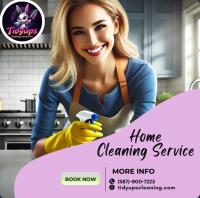 Tidyups Cleaning Service Inc image 1