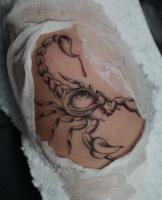 Colibri Tattoo and Piercing (Danforth) image 4