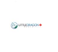 Little Dragon Media image 1