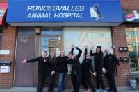 Roncesvalles Animal Hospital image 3