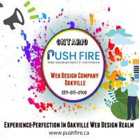 PushFire | Oakville Web Design & SEO Company image 6