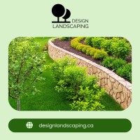 Design Landscaping image 5