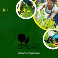 Design Landscaping image 2