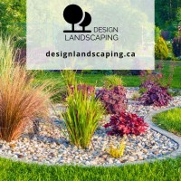 Design Landscaping image 4