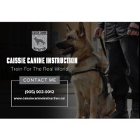 Caissie Canine Instruction image 2