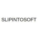 Slipintosoft logo