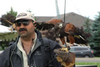 Hawkeye Bird and Animal Control image 1