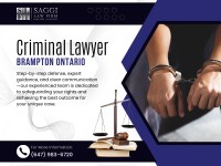 Saggi Law Firm image 99