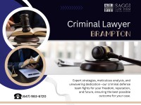 Saggi Law Firm image 100