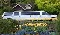 Royal Limousine Service image 16