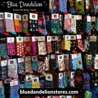 Blue Dandelion Stores image 7