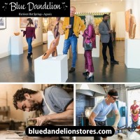 Blue Dandelion Stores image 8