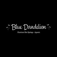 Blue Dandelion Stores image 1