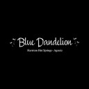 Blue Dandelion Stores logo